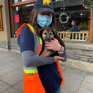 Meet your Posher, Heather